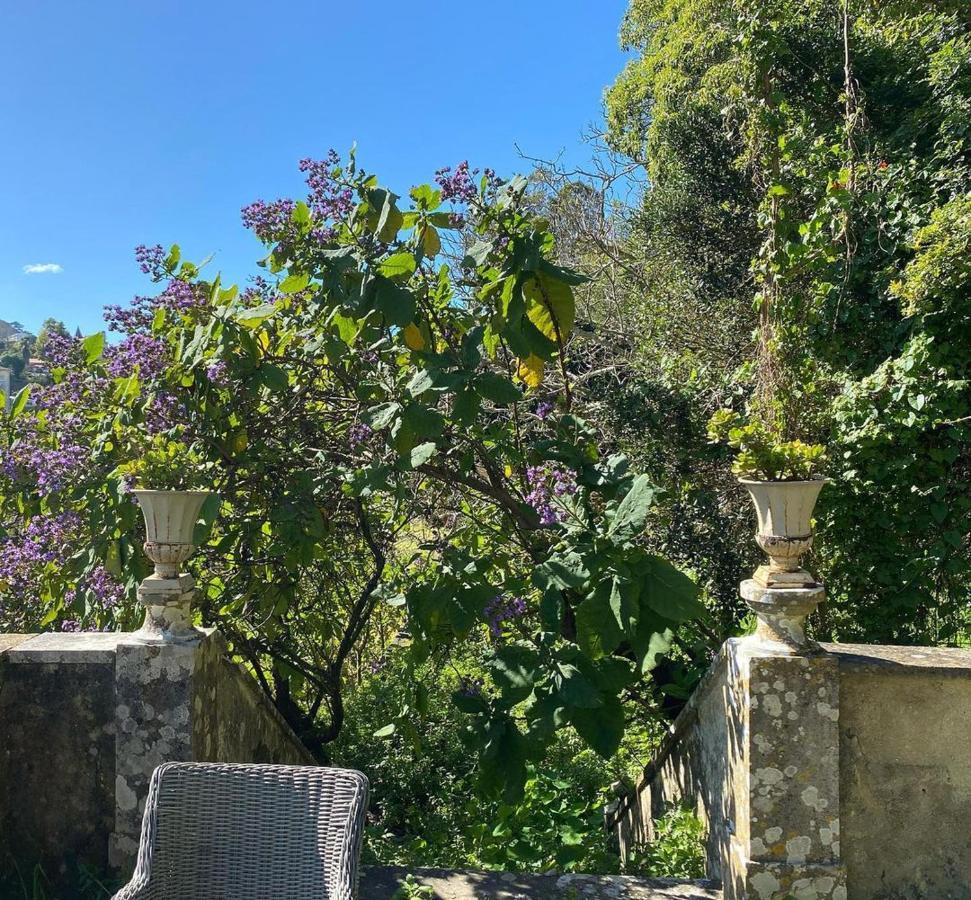 Casa Holstein Quinta De Sao Sebastiao Sintra Hotell Exteriör bild