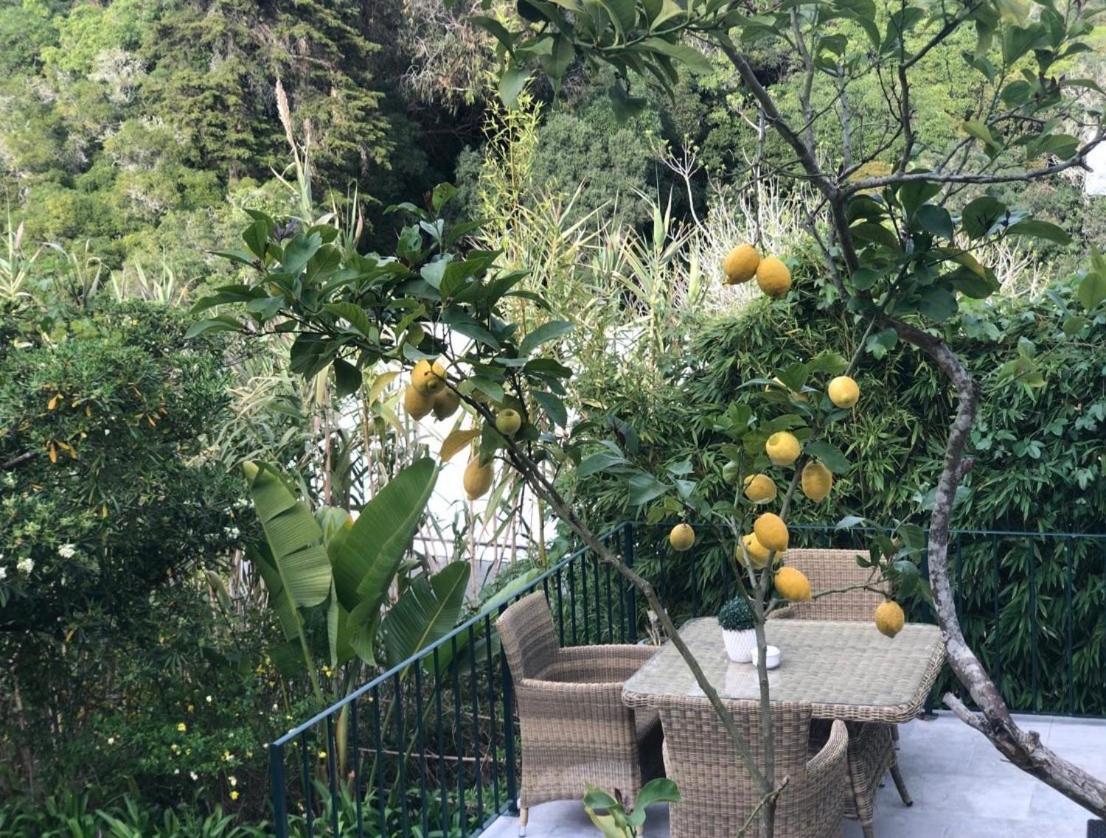 Casa Holstein Quinta De Sao Sebastiao Sintra Hotell Exteriör bild